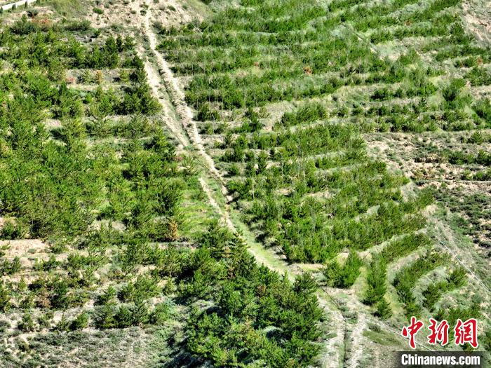 航拍建行青海省分行綠化區(qū)?！∑钤鲚?攝