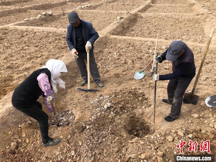 資料圖為建行青海省分行綠化區(qū)施工隊隊員處理亂石?！〗ㄐ星嗪Ｊ》中泄﹫D