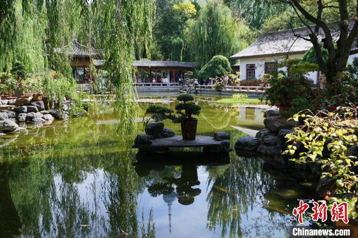 圖為西寧園林植物園秋日風(fēng)景別有韻味?！●R銘言 攝