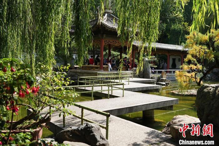 圖為西寧園林植物園秋日風(fēng)景別有韻味?！●R銘言 攝