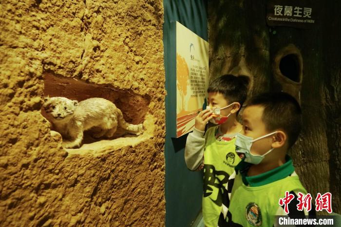 圖為小朋友在青海西寧湟水國(guó)家濕地公園科普館內(nèi)參觀學(xué)習(xí)。　馬銘言 攝