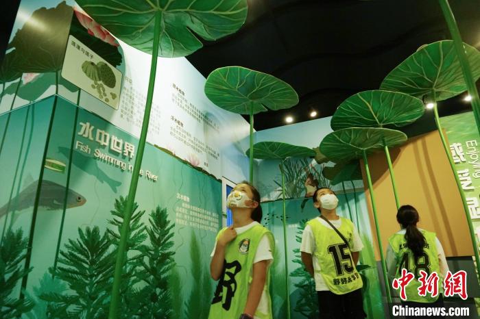 圖為小朋友在青海西寧湟水國(guó)家濕地公園科普館內(nèi)參觀學(xué)習(xí)?！●R銘言 攝