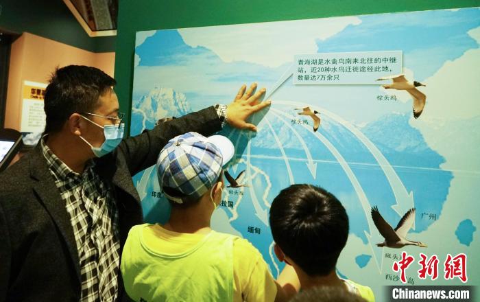 圖為小朋友在青海西寧湟水國(guó)家濕地公園科普館內(nèi)參觀學(xué)習(xí)?！●R銘言 攝