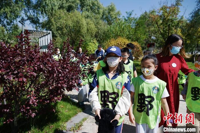 圖為小朋友在青海西寧湟水國(guó)家濕地公園內(nèi)認(rèn)識(shí)植物?！●R銘言 攝