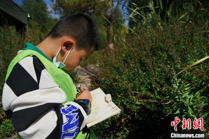圖為小朋友在青海西寧湟水國(guó)家濕地公園內(nèi)認(rèn)識(shí)植物并進(jìn)行繪畫(huà)。　馬銘言 攝