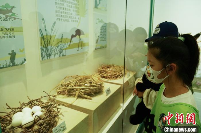 圖為小朋友在青海西寧湟水國(guó)家濕地公園科普館內(nèi)參觀學(xué)習(xí)?！●R銘言 攝