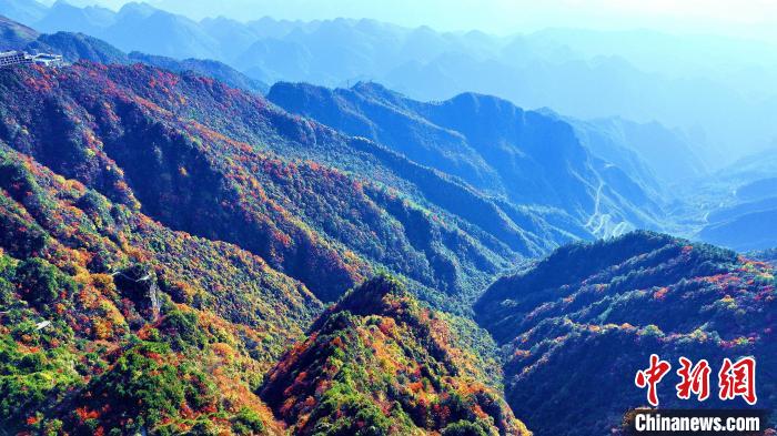 巴山大峽谷彩林迎來最佳觀賞期?！埰?攝