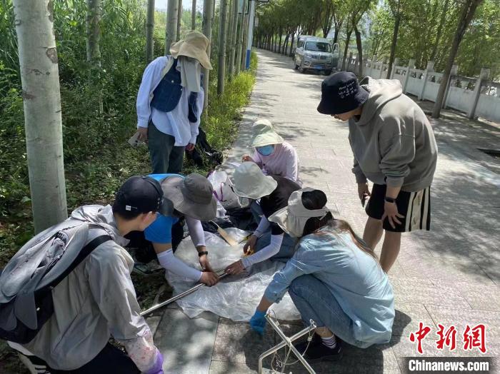 圖為科研人員正在進行監(jiān)測?！∥鲗庝宜畤覞竦毓珗@供圖