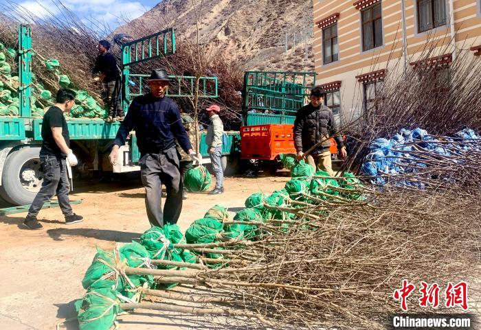 民眾搬運苗木?！〔际忻⒖悼h委宣傳部供圖