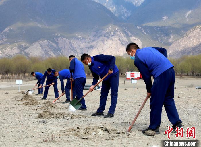 林芝市巴宜區(qū)森林消防中隊志愿服務(wù)隊正在揮鍬鏟土。　西繞拉翁 攝