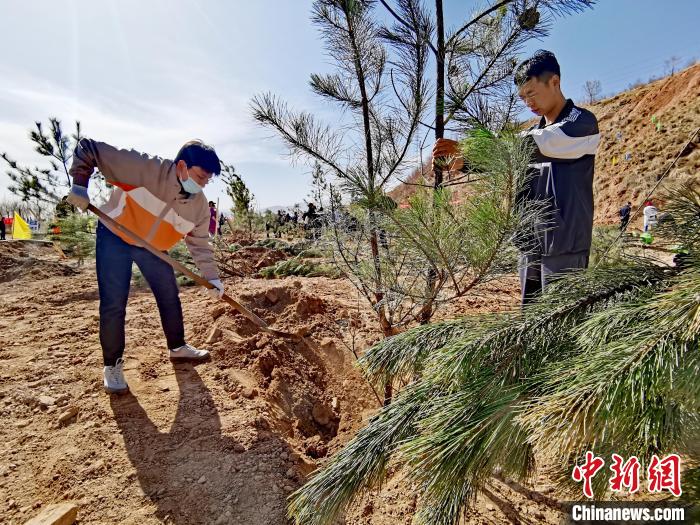 圖為西寧市城東區(qū)義務(wù)植樹活動現(xiàn)場?！?zhí)砀?攝