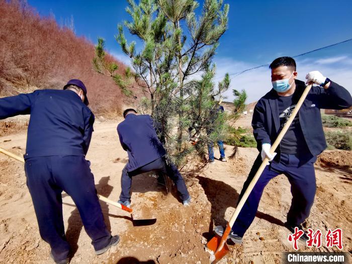 圖為西寧市城東區(qū)義務(wù)植樹活動現(xiàn)場。　張?zhí)砀?攝