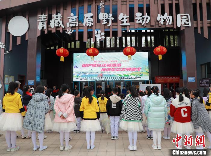 圖為青海省西寧市開展第42屆“愛鳥周”科普宣傳活動?！●R銘言 攝