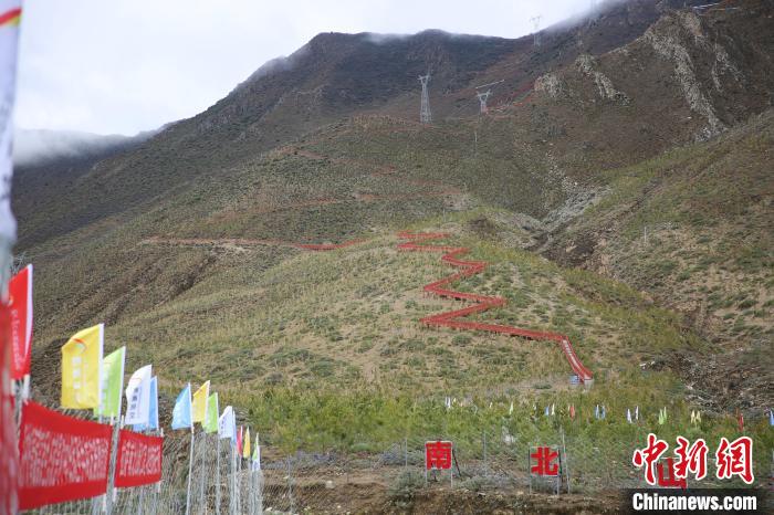 圖為拉薩南北山綠化工程拉薩曲水縣才納村5號片區(qū)?！∝暣_ 攝