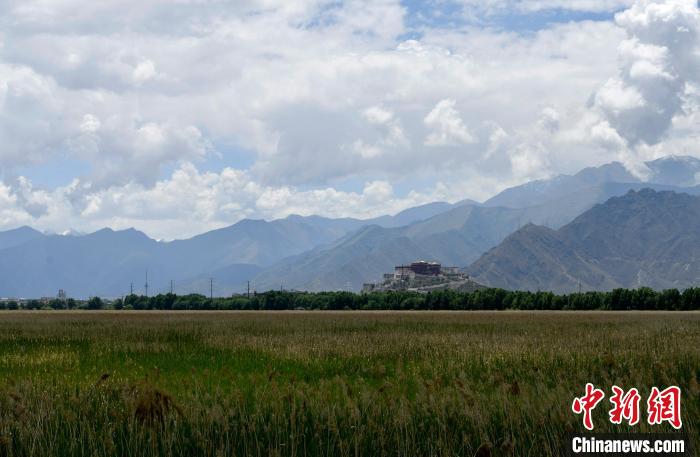圖為拉薩拉魯濕地?！±盍?攝