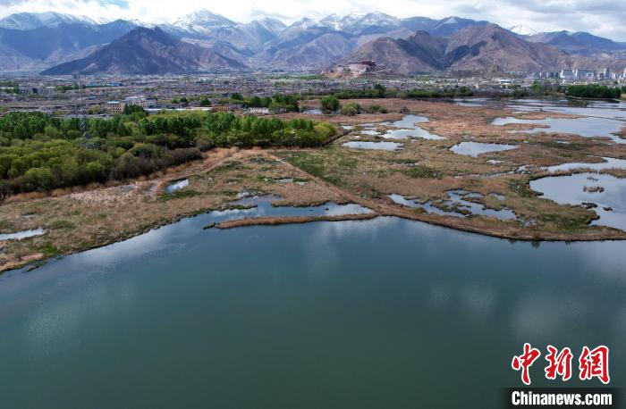 圖為拉薩拉魯濕地。(無(wú)人機(jī)照片) 李林 攝