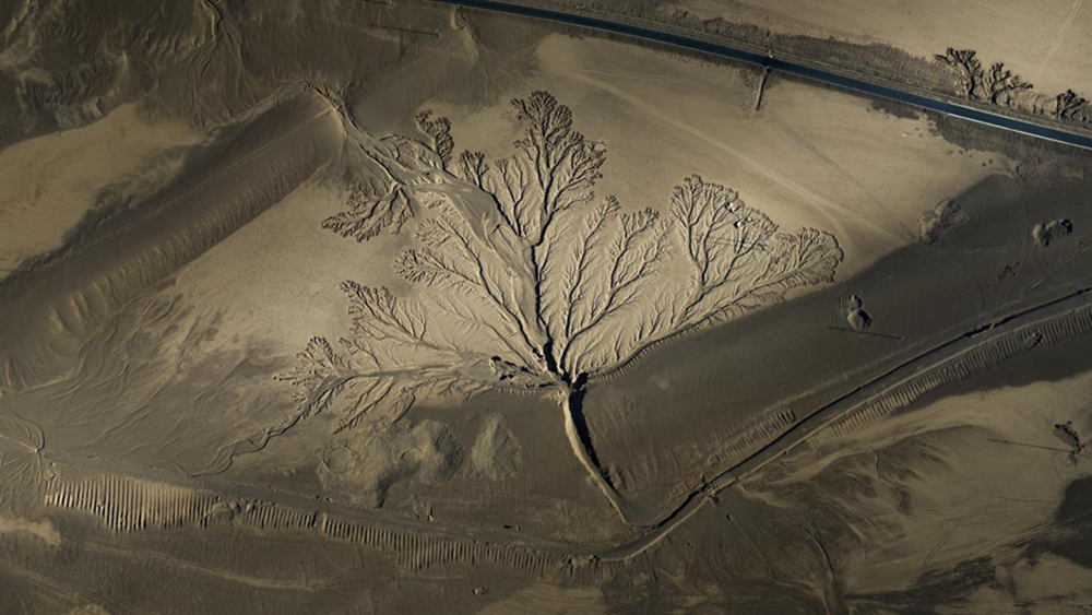 無人機(jī)視角下的西藏阿里地區(qū)改則縣“大地之樹”景觀。尼瑪多吉攝