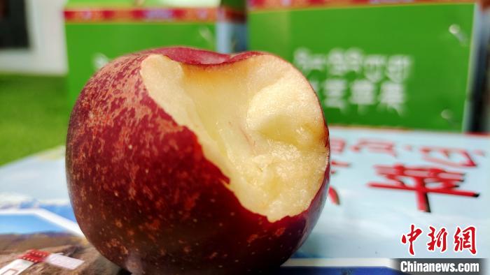 圖為通麥村特色甜心蘋果?！∝暽＠?攝