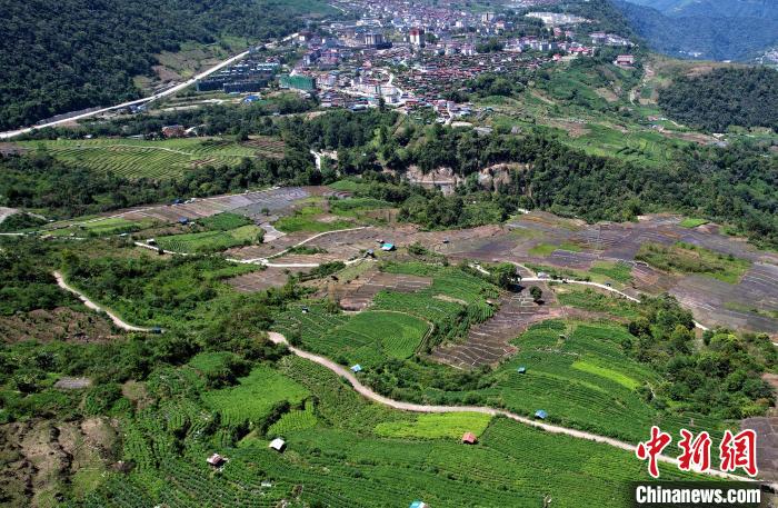 圖為西藏林芝市墨脫縣城附近的茶田。(無(wú)人機(jī)照片) 李林 攝