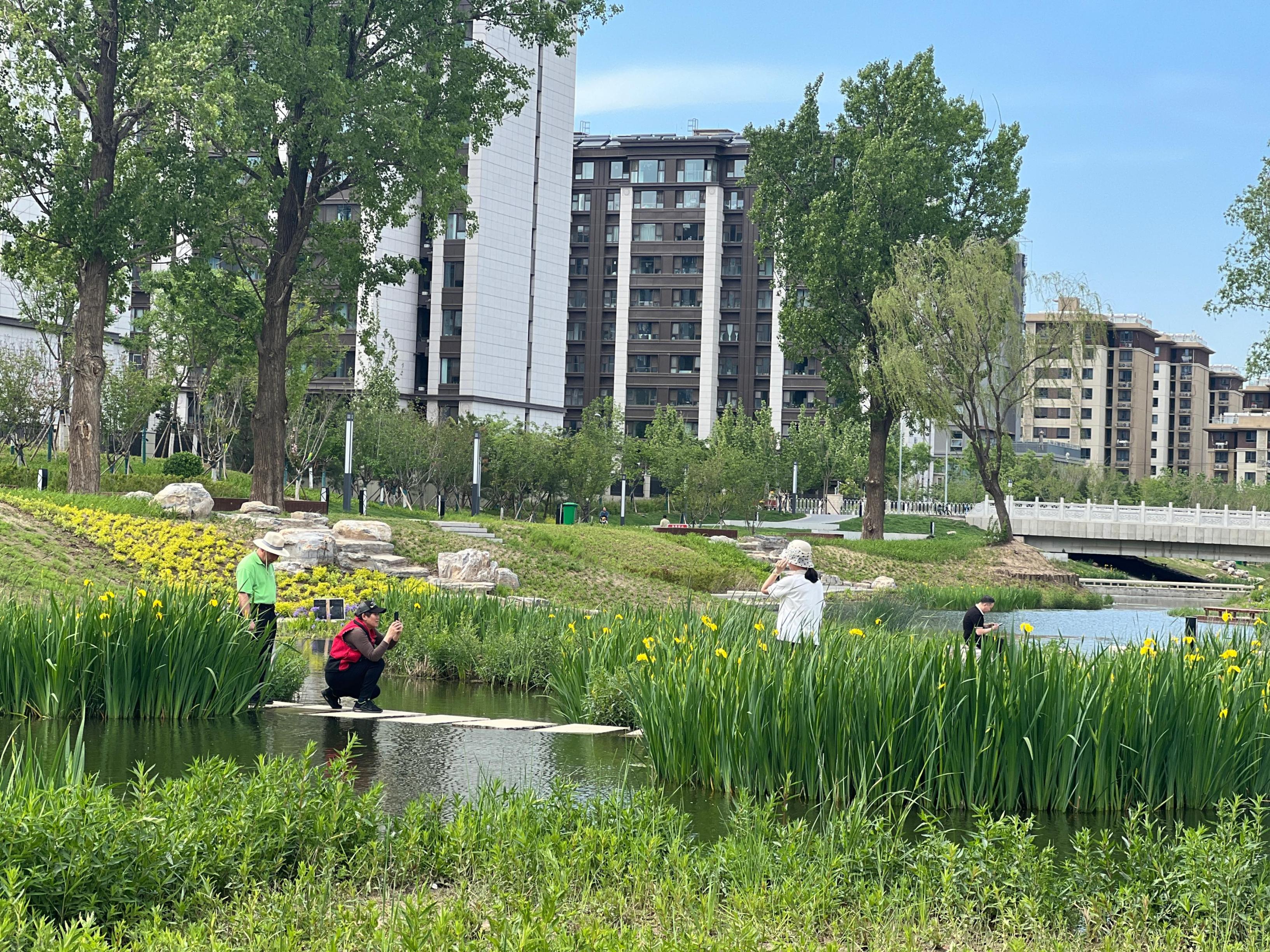 五一渠生態(tài)濱河公園內(nèi)，市民正在拍照留念。人民網(wǎng) 歐陽易佳攝