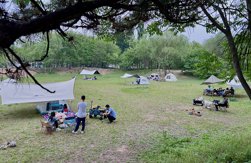 “自駕+露營”等多元模式受熱捧。人民網(wǎng)記者 王連香攝