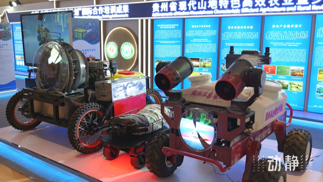展示成果分享經驗，中國—東盟教育交流周深化合作共創(chuàng)未來！