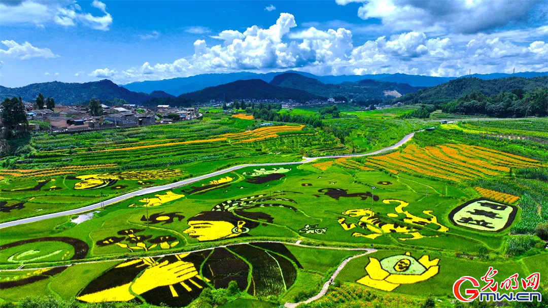 云南清水：延伸公共法律服務(wù)觸角，讓普法與民族團(tuán)結(jié)進(jìn)步互促共融