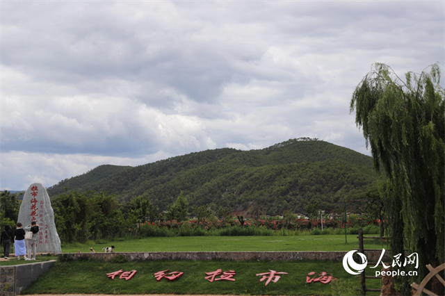 麗江市拉市海景區(qū)。 人民網(wǎng)記者 程浩攝