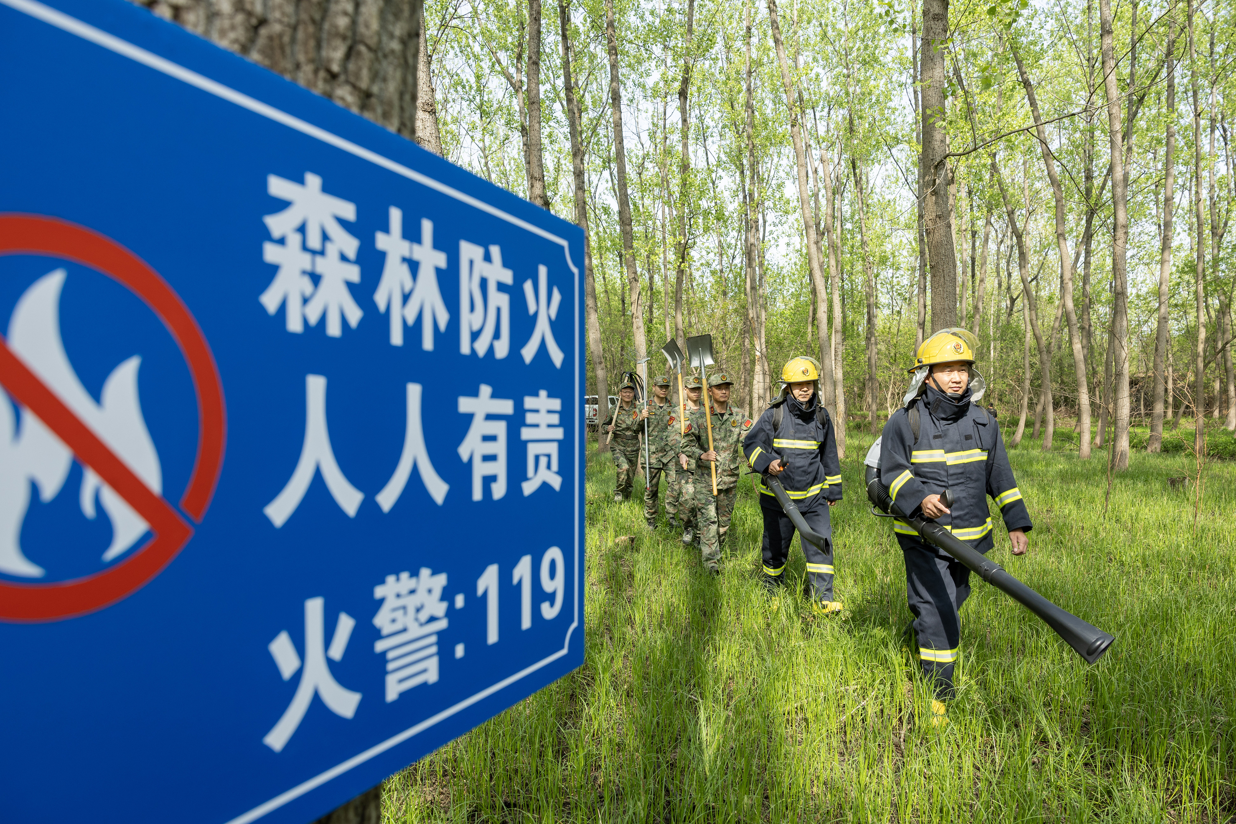 2024年4月9日，合肥市大房郢水庫(kù)水源保護(hù)地廬陽(yáng)經(jīng)濟(jì)開(kāi)發(fā)區(qū)段，基干民兵正在林間巡查火災(zāi)隱患。