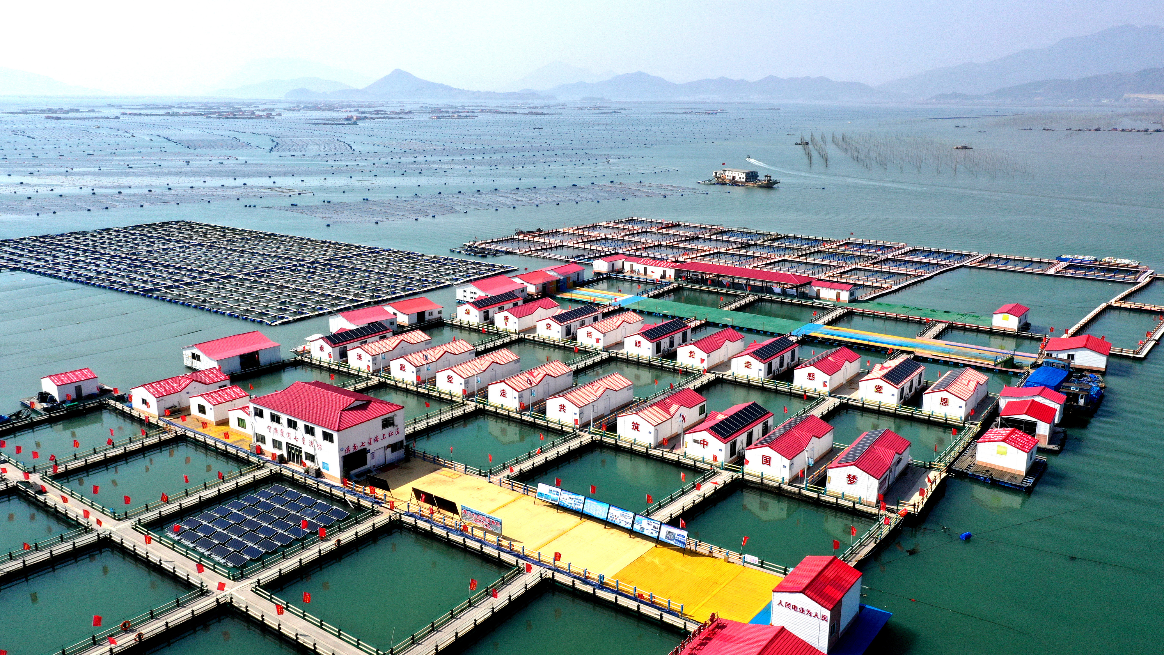 2024年3月20日，福建省寧德市，霞浦縣溪南鎮(zhèn)七星村漁排養(yǎng)殖示范區(qū)，漁民駕駛養(yǎng)殖船進行海參養(yǎng)殖作業(yè)。