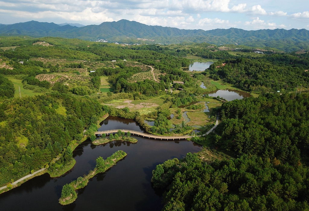 福建省龍巖市長(zhǎng)汀縣的長(zhǎng)汀汀江國(guó)家濕地公園景色（2020年7月28日攝，無(wú)人機(jī)照片）。新華社記者 魏培全 攝