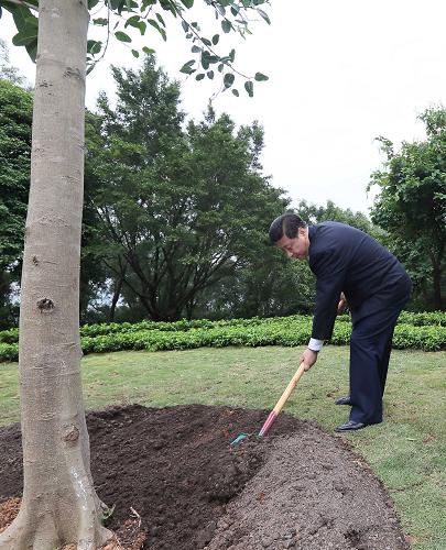 2012年12月7日至11日，習(xí)近平在廣東省考察工作。這是8日上午，習(xí)近平在深圳蓮花山公園種下一棵高山榕樹。新華社記者 蘭紅光 攝