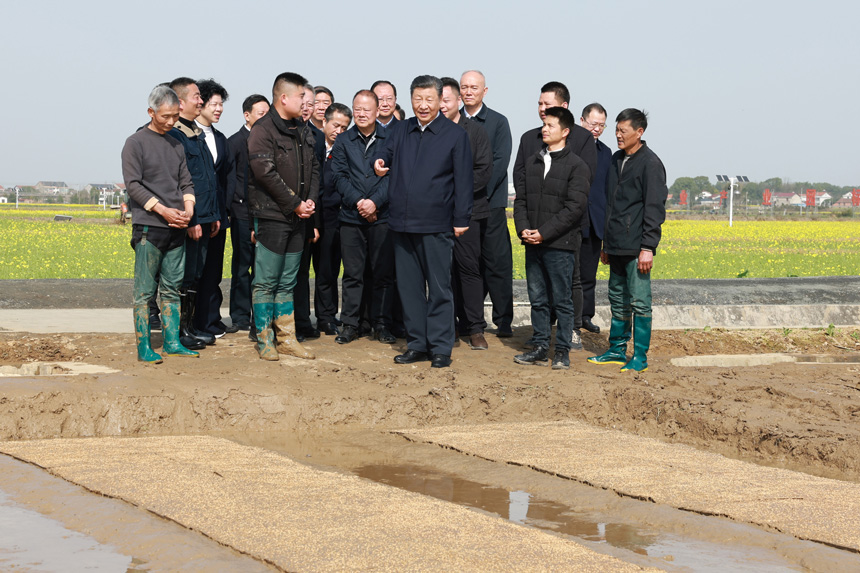 2024年3月18日至21日，中共中央總書(shū)記、國(guó)家主席、中央軍委主席習(xí)近平在湖南考察。這是19日下午，習(xí)近平在常德市鼎城區(qū)謝家鋪鎮(zhèn)港中坪村走進(jìn)田間，察看秧苗培育和春耕備耕進(jìn)展。新華社記者 王曄 攝