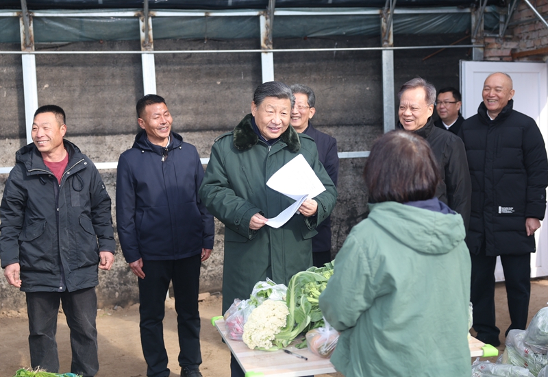 2024年2月1日，習(xí)近平總書記在天津市西青區(qū)辛口鎮(zhèn)第六埠村，走進(jìn)大棚同菜農(nóng)親切交流。