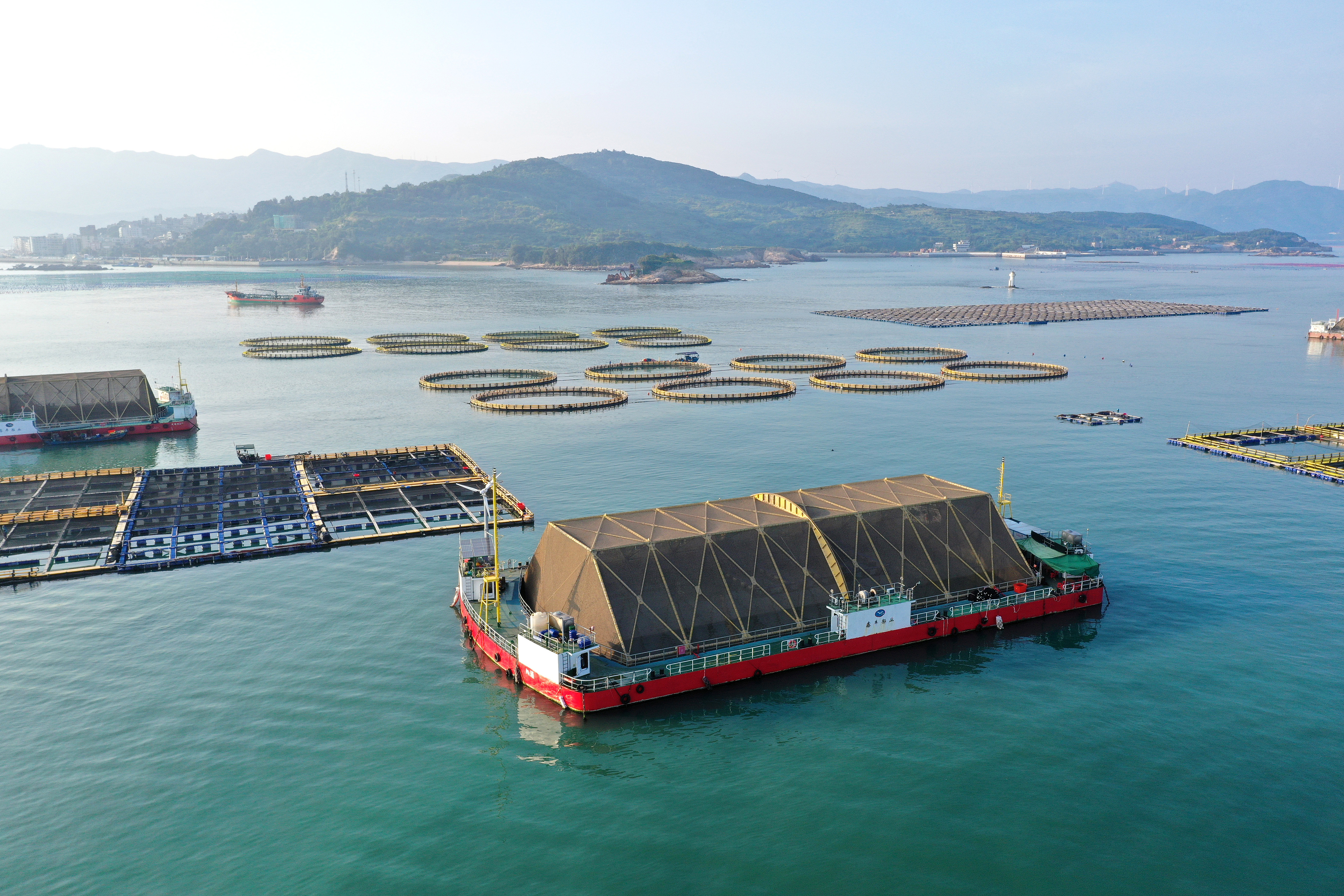 2024年9月10日拍攝的福建省福州市連江縣定海灣海域的現(xiàn)代化“海上糧倉”。
