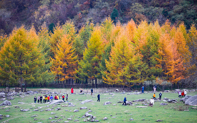 2023年10月27日，深秋時節(jié)的陜西秦嶺太子嶺漫山紅黃、色彩交織，進(jìn)入最佳觀賞期。
