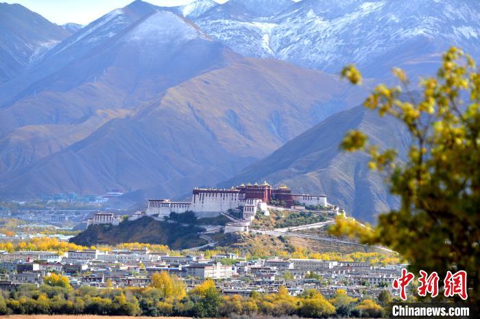 10月24日，雪山、布達(dá)拉宮和秋色組成“風(fēng)景畫(huà)”?！〗w波 攝
