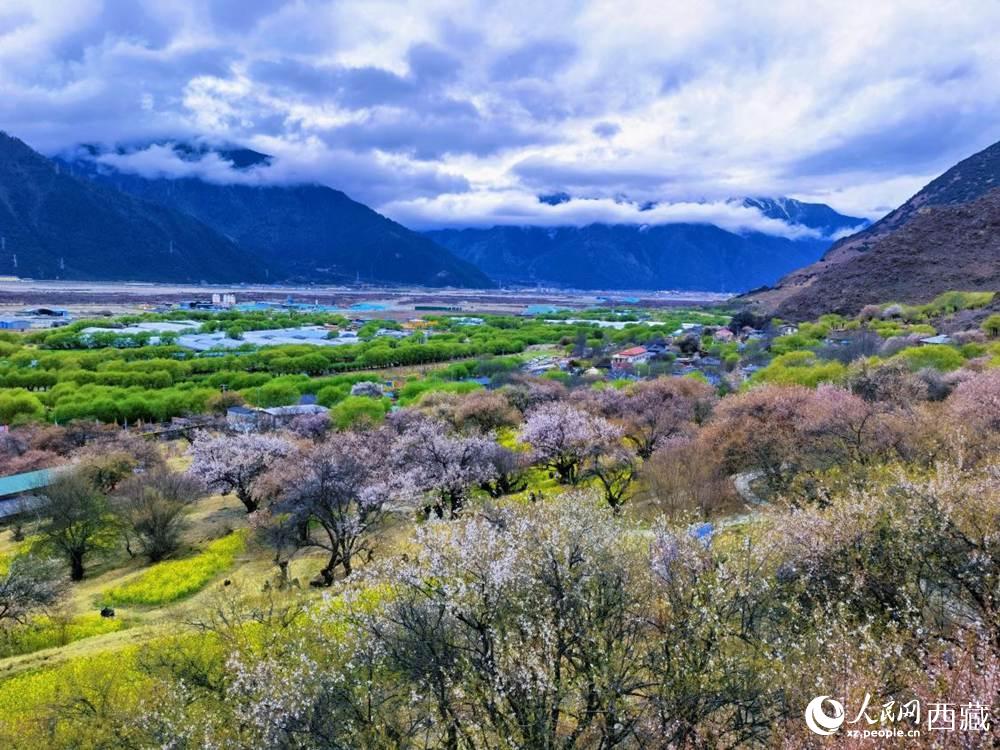 桃花從中的“童話小鎮(zhèn)”。人民網(wǎng) 李海霞攝