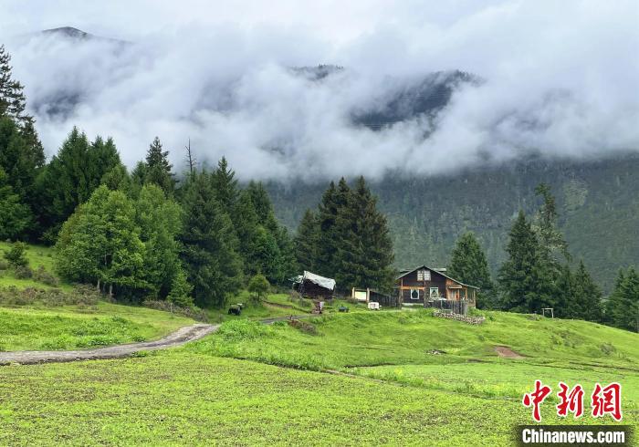 6月10日，魯朗小鎮(zhèn)高山牧場(chǎng)景區(qū)風(fēng)光?！∪轿木?攝