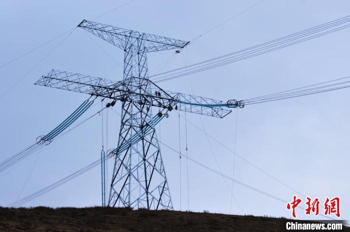 高原藏區(qū)電力線路建設者：高寒缺氧、扎刺掛彩是常事