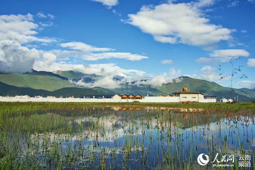 納帕海濕地風(fēng)景。呂昊辰攝