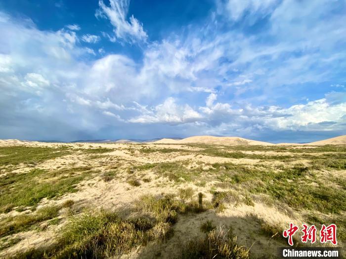 圖為關(guān)停四年后的沙島景區(qū)現(xiàn)狀?！±罱瓕?攝