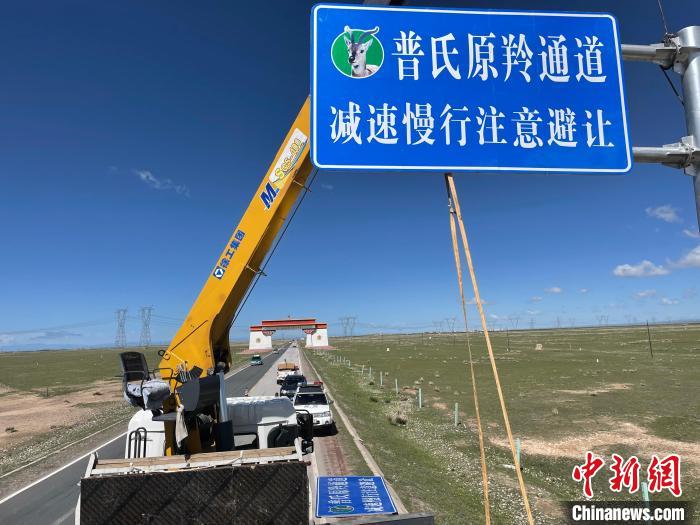 圖為青海省海北州剛察縣設(shè)立的普氏原羚通道警示牌。　青海省海北州人民檢察院供圖