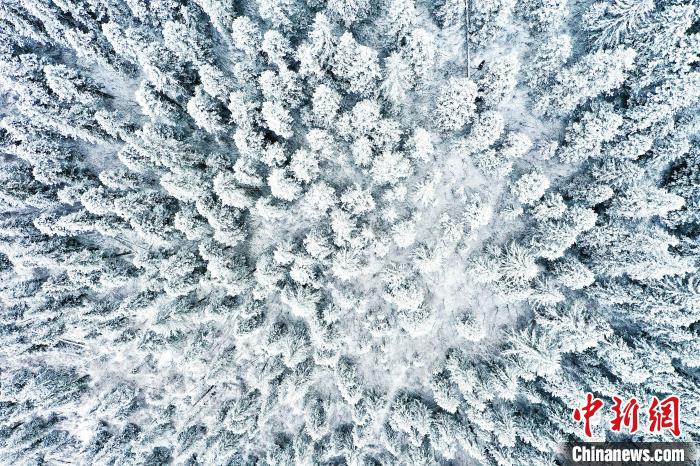 壤塘的雪后美景?！∪捞量h融媒體中心供圖