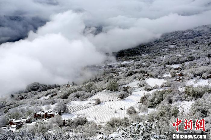 雪后的丹巴半山云霧繚繞?！±钣腊?攝