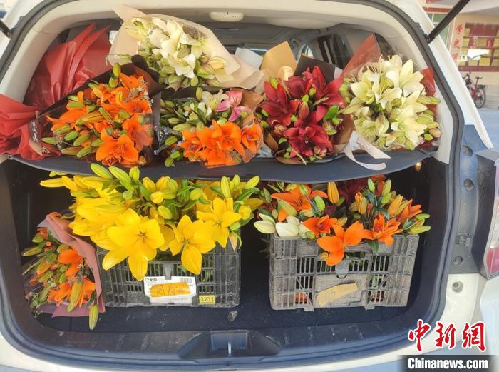 剛剛采摘下來(lái)的百合花?！∪捞量h委宣傳部供圖
