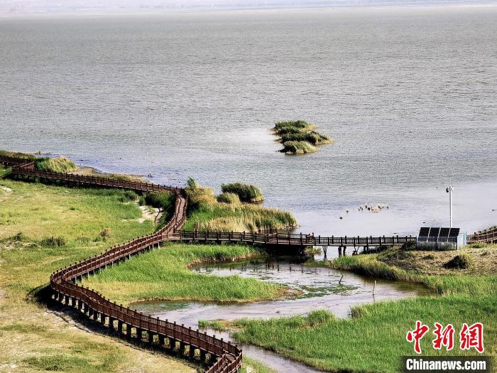 圖為都蘭湖國家濕地公園觀光棧道?！∑钤鲚?攝