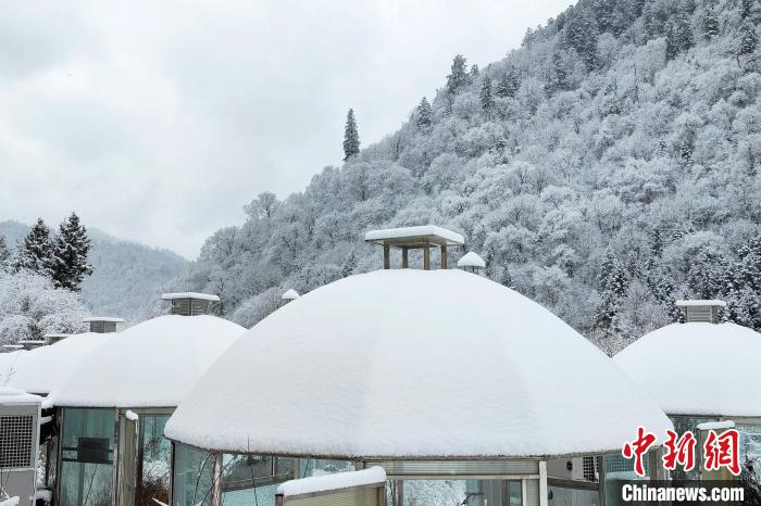 大熊貓國家公園王朗片區(qū)春雪如畫，宛若仙境?！×_春平 攝
