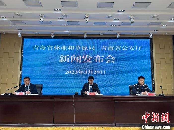 青海去年占用林地、草地準(zhǔn)予許可件同比實(shí)現(xiàn)“雙減”