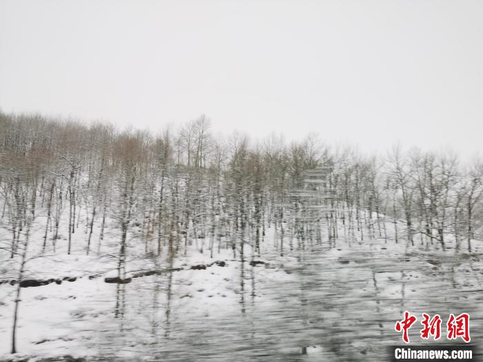 圖為青海青沙山區(qū)域被降雪覆蓋?！?zhí)砀?攝